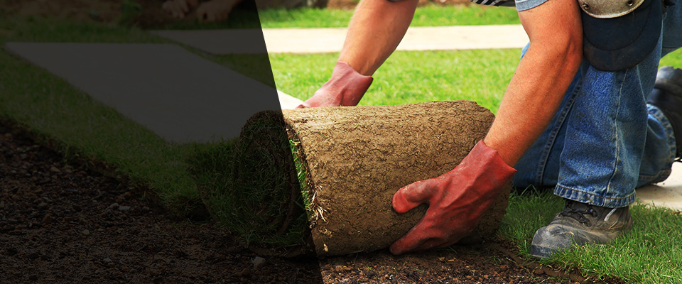 University Park Landscapers